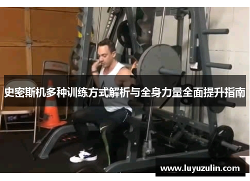 史密斯机多种训练方式解析与全身力量全面提升指南