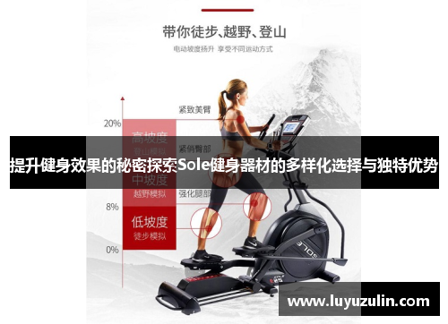 提升健身效果的秘密探索Sole健身器材的多样化选择与独特优势