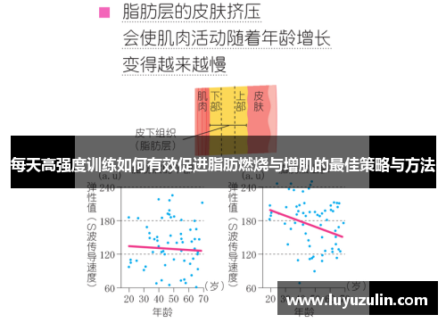每天高强度训练如何有效促进脂肪燃烧与增肌的最佳策略与方法