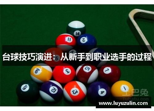 台球技巧演进：从新手到职业选手的过程