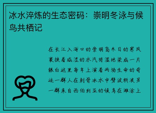 冰水淬炼的生态密码：崇明冬泳与候鸟共栖记