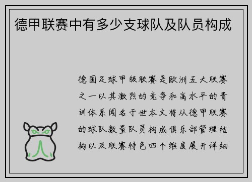 德甲联赛中有多少支球队及队员构成
