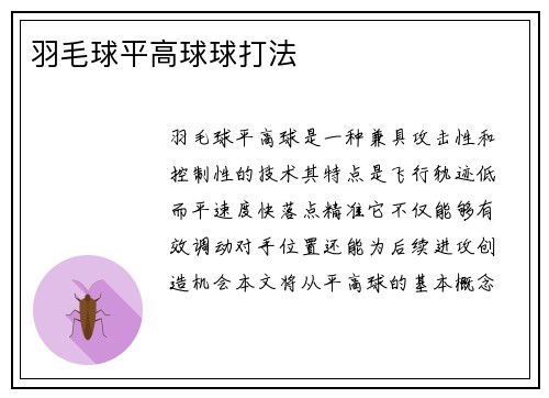羽毛球平高球球打法